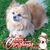 Deb Dugo's profile image