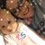Michelle Shank's profile image