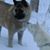 Donna Boughner's profile image