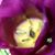 Beverly Columbus's profile image