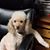 Glenda Bone's profile image