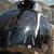 Shanon Fischer's profile image