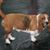 Ranae Fisher's profile image