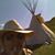Ernie Jacobs's profile image