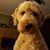 Kacy Bennett's profile image