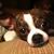 Kim Wilhelm Fowler's profile image