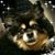 Karla Mayginnes's profile image