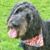 Lori Noonan Gorton's profile image