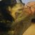 Steve Watters's profile image