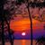 Tracy Mickle McNabb's profile image