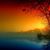 Diana Martinez's profile image