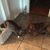 Carol Kendrick Womack's profile image