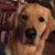 Linda Farina's profile image