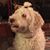 Samantha Eyler Graybill's profile image