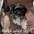 Vicky Nell Boyer's profile image