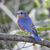 Patty McMasters Krouse's profile image