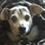 Heidi Alfer's profile image
