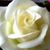 Jeaneane Reardon's profile image