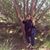 Holly Traylor's profile image