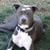 Hardesty N Murphy's profile image