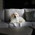 Lori Geist's profile image