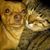 Marie Viars Horton's profile image