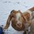 Gina Jeffries's profile image