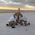 Anthony Zecchini's profile image