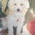 Mark Ellenbarger's profile image