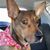 MaryAnn Helpern's profile image