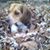 Robin M Buehler's profile image