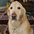 Kelly Roddy Bowen's profile image