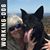 Debbie Dickinson's profile image