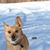 Sonia Brocko's profile image