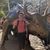 Kevin Joseph Cortez's profile image