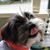 Stacy Clark Phillips's profile image