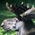 Lynn Bowman's profile image