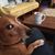 Polly Spencer's profile image