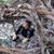 Michele Santona's profile image