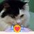 Christine Beaman's profile image
