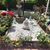 Miette Faivre's profile image