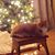 Clara Coffey Johnston's profile image