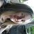 Amie Cole's profile image