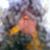Bob Bahr's profile image