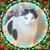 Naomi Huggins Dixon's profile image