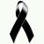 Lisett Cardoza's profile image