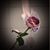 OnlyOne Sherrill's profile image