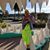 Cassandra Galley's profile image