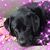 Chrissy Church-Meyers's profile image