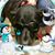 Judy D Davis's profile image